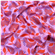 Viscosemix Aina