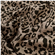 Manchester Leopard