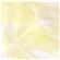 Organza