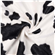 Velbour Cow