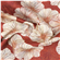 Viscose Linjeblomma