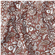 Stuv Bomullspoplin Small Paisley 0,5m