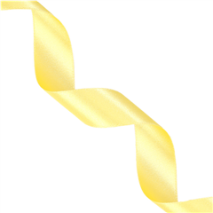 Satinband Trend 25mm