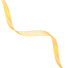 Organzaband 10mm x 10m