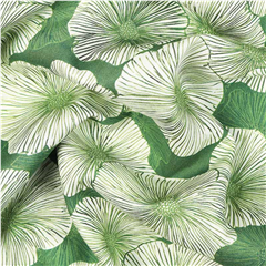 Viscose Linjeblomma