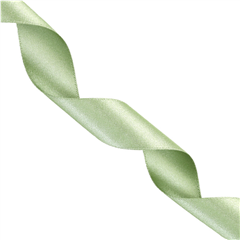 Satinband Trend 25mm