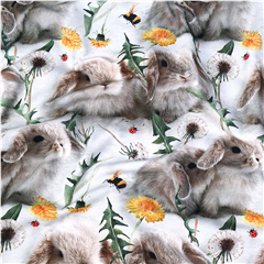 Bomullstrikå Kaninungar