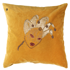 Kuddfodral Beyond Science