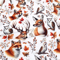 Bomullstrikå Nordens Djur