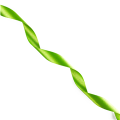 Satinband Trend 10mm